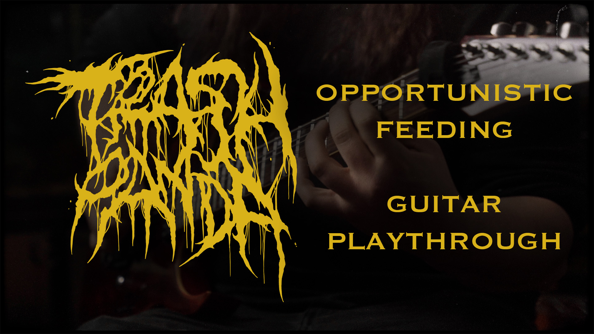 Read more about the article Trash Panda | Opportunistic Feeding Guitar Playthrough