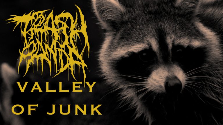 Trash Panda | Valley Of Junk (Music Video)